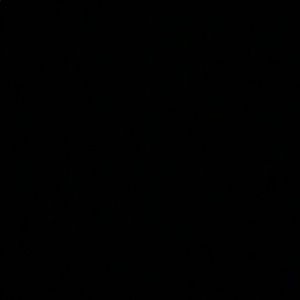 Meet your Posher, Riley